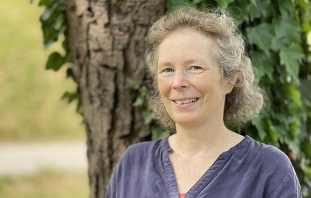 10 Jahre 'Laudato si'': Diözese Linz will Umwelteinsatz weiterführen
