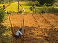 20131112_133433 / DKA/KJSÖ, Eva Wallensteiner Entwicklungsprogramm für Adivasi-Dörfer